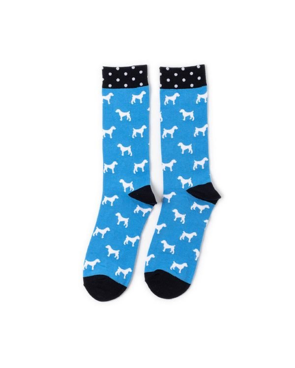 Calcetines - Imagen 1