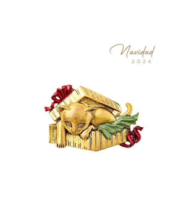Broche Sorpresa - Imagen 1